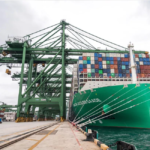 Large green container ship docked beside cargo cranes at a commercial shipping terminal, with stacked containers on deck.